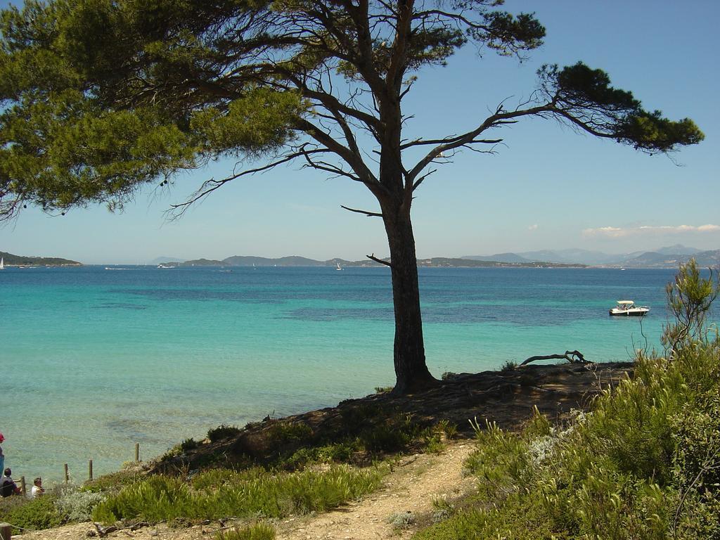 Ibis Golfe De Saint-Tropez Hotel Коголен Екстериор снимка