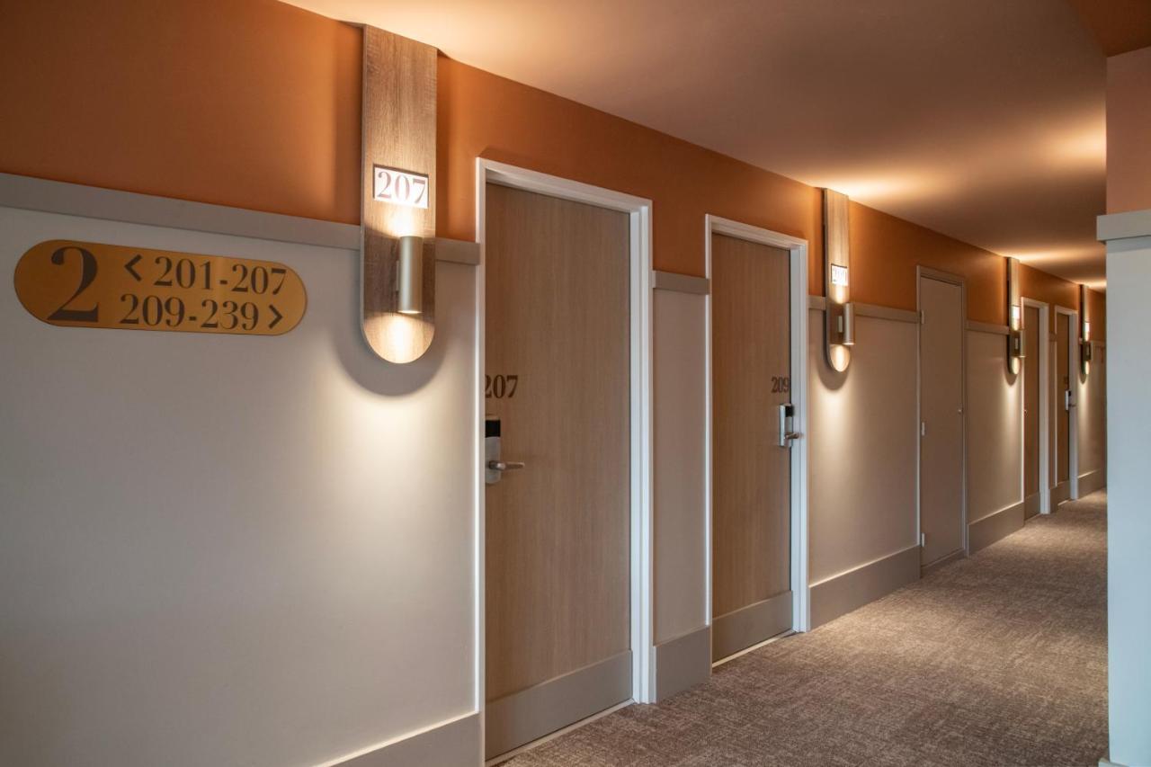 Ibis Golfe De Saint-Tropez Hotel Коголен Екстериор снимка